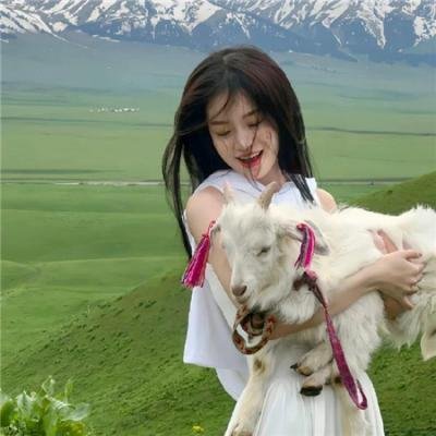 十里洋场争霸战